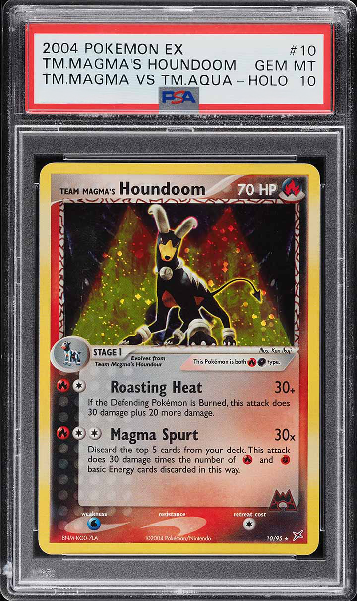 Team Magma's Houndoom