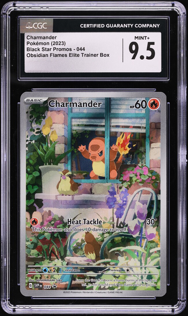 Charmander Elite Trainer
